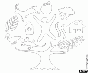 Coloriage Logo de 2011 année des forêts