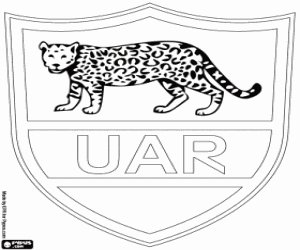 Coloriage Logo de l'équipe argentin de rugby