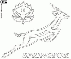 Coloriage Logo de Sringboks