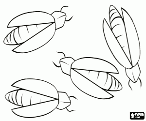 Coloriage Lucioles, insectes