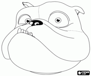 Coloriage Luiz, un bouledogue