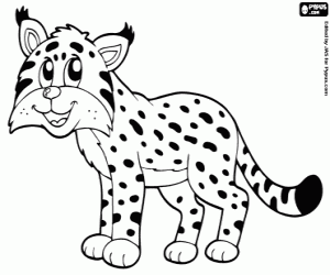 Coloriage Lynx, félin