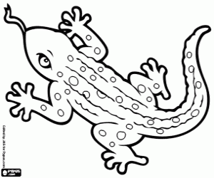 Coloriage Lézard avec longue langue