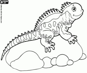 Coloriage Lézard