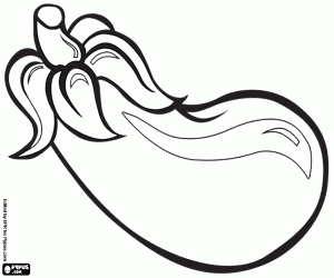 Coloriage L’aubergine est de couleur pourpre