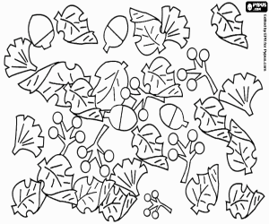 Coloriage L’automne, les feuilles mortes et les fruits