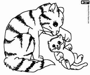 Coloriage Maman chat jouant avec son chat bébé