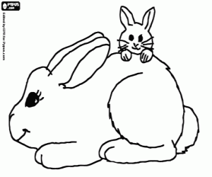 Coloriage Maman lapin avec son petit lapin