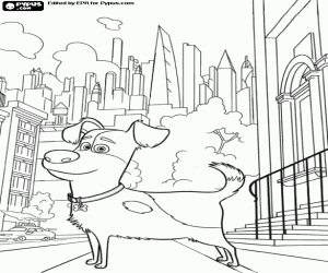 Coloriage Max, le chien seul dans la rue