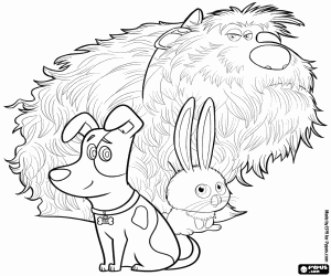 Coloriage Max, Duke et Boule de neige
