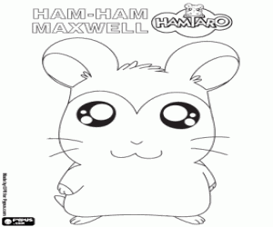 Coloriage Maxwell, un hamster Ham-Ham