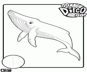 Coloriage Numéro 1 et une baleine
