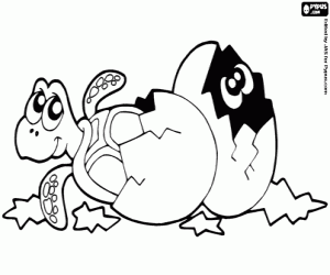 Coloriage Oeufs de tortues