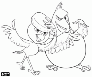 Coloriage Les oiseaux Pedro et Nico de Rio