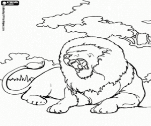 Coloriage Old lion sous les arbres