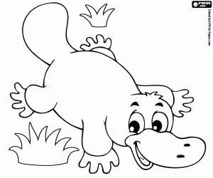 Coloriage Ornithorynque, animal semi-aquatique