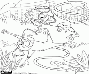 Coloriage Les ouistitis du film Rio