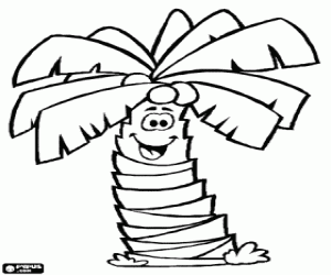 Coloriage Palmier avec des noix de coco, cocotier