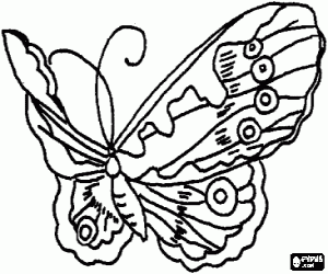Coloriage Papillon en volant