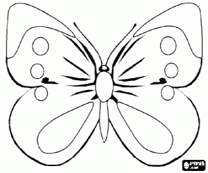 Coloriage Papillon
