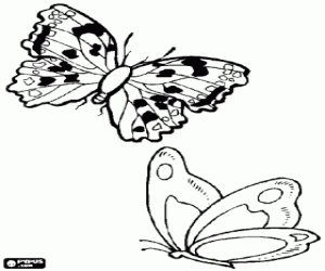 Coloriage Papillons en volant