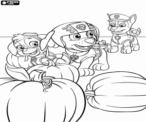 Coloriage Les Paw Patrol et les citrouilles