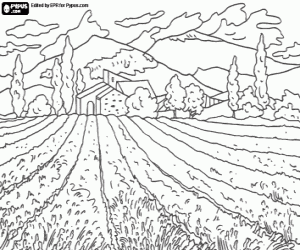 Coloriage Paysage rural avec terrain et maison