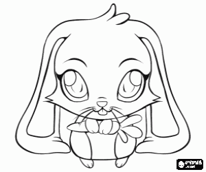 Coloriage Le petit lapin avec la carotte