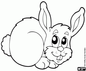 Coloriage Petit lapin