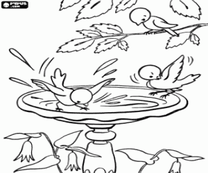 Coloriage Petits oiseaux pataugeant dans une fontaine