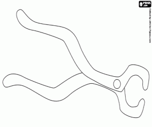 Coloriage La pince du dentiste
