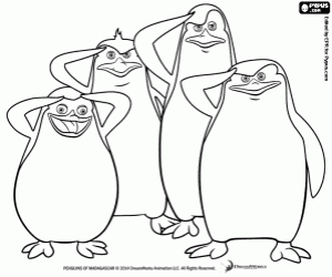 Coloriage Pingouins de Madagascar militaire