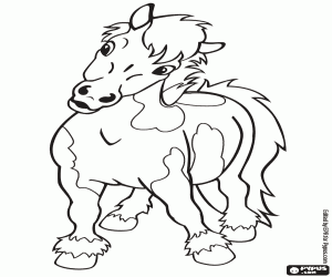 Coloriage Le poney, vu de face