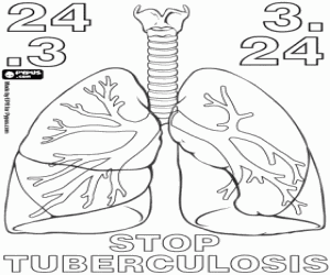 Coloriage Les poumons et la tuberculose