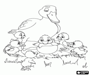 Coloriage Le poussin sort de le œuf