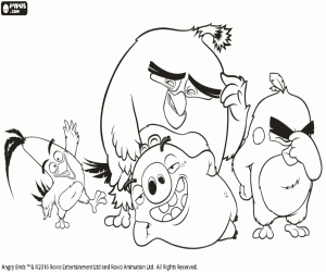 Coloriage Protagonistes de Angry Birds, le film