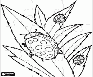 Coloriage Puzzle de coccinelles