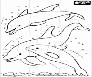 Coloriage Puzzle de groupe de dauphins en sautant