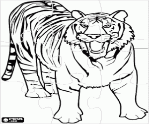 Coloriage Puzzle de tigre
