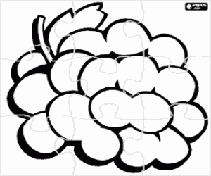 Coloriage Puzzle de Une grappe de raisin