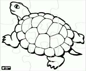 Coloriage Puzzle d'une tortue