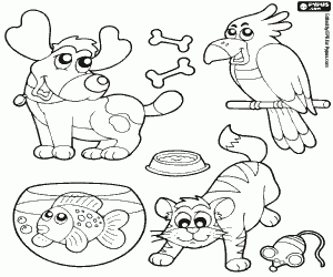 Coloriage Quatre animaux de compagnie