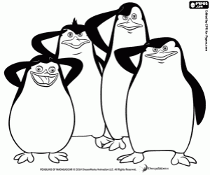 Coloriage Quatre pingouins de Madagascar
