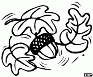 Coloriage Quelques feuilles de chêne et le gland