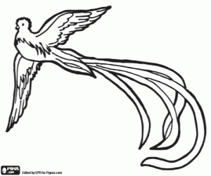 Coloriage Quetzal était considéré comme un oiseau divin