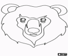 Visage d'ours