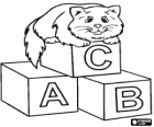 Chat reposant sur des blocs avec des lettres