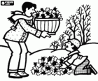 Père et fils de la collecte des feuilles mortes des arbres