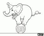 Éléphant formé et déguisé et en agissant dans un cirque en marchant sur une boule
