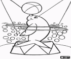 Phoque à faire un exercice de la piste de cirque avec des cercles en donnant des retours au corps et à la balle dans le nez